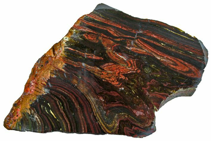 Polished Tiger Iron Stromatolite Slab - Billion Years #162004